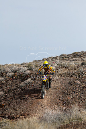 IMG_3718-224b