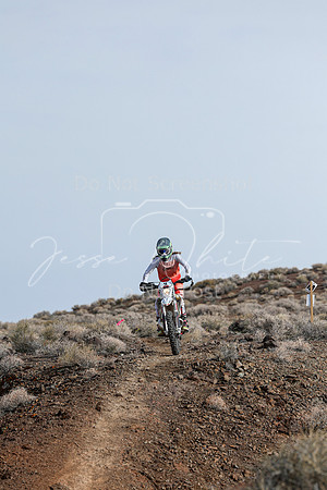 IMG_3724-4v