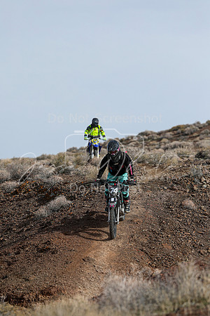 IMG_3779-74v