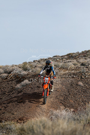 IMG_3788-428v
