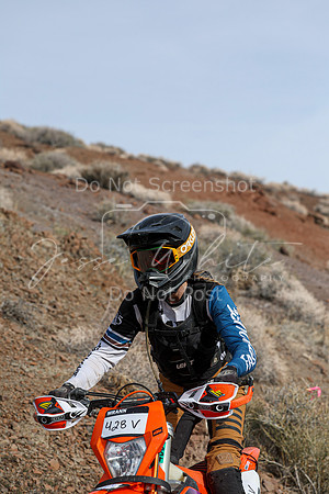 IMG_3792-428v