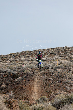 IMG_3828-825v