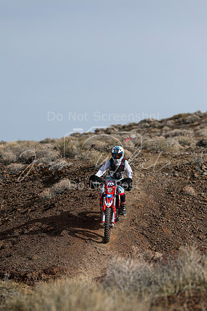 IMG_3892-111v