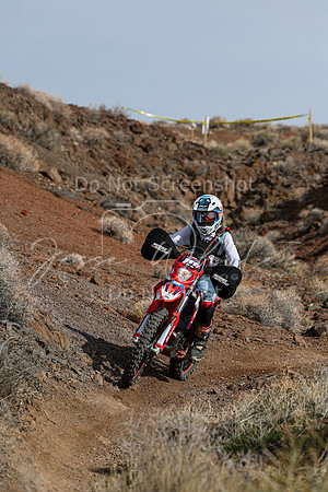 IMG_3894-111v