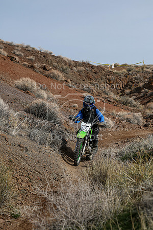 IMG_3910-614v
