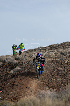 IMG_3950-419y