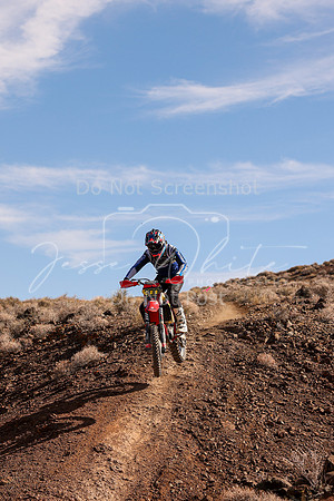 IMG_8582-300n