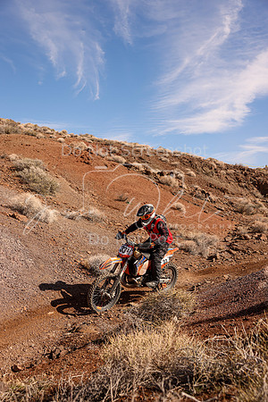 IMG_8641-33s
