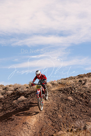 IMG_8686-645x