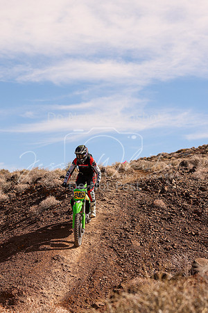 IMG_8694-246n