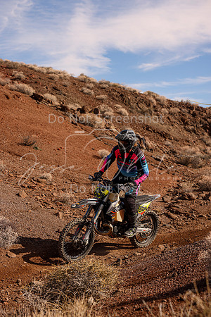 IMG_8722-85n