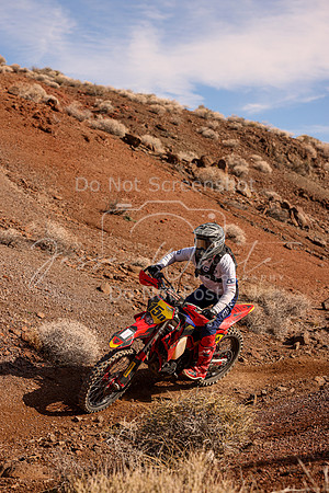 IMG_8738-15n