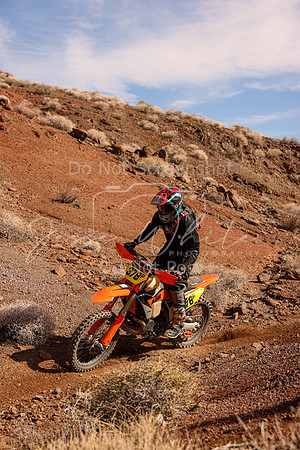 IMG_8744-378p