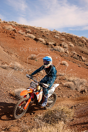 IMG_8763-311a