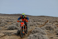 IMG_2944-