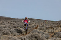 IMG_2949-