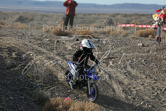 IMG_6313-220z