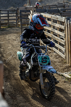 IMG_6393-6z