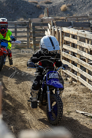 IMG_6425-220z