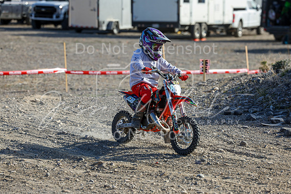 IMG_6453-808z