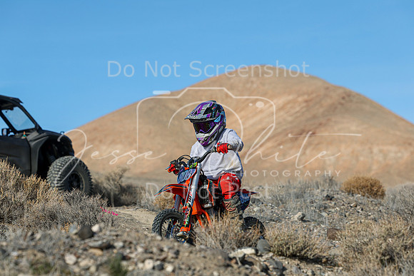 IMG_6482-808z