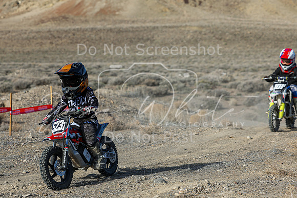 IMG_6501-523z