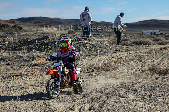 IMG_6546-262z