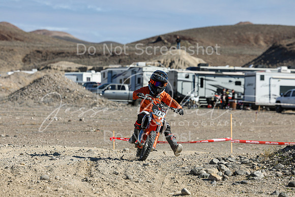 IMG_6665-303y