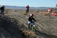 IMG_6310-101z