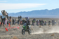 IMG_6603-729y