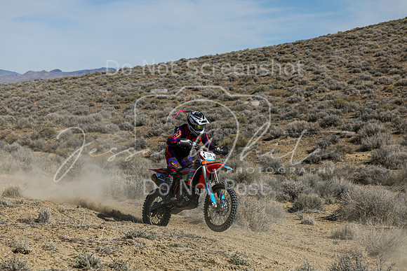 IMG_7208-3a