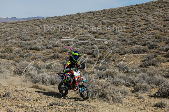 IMG_7202-2a