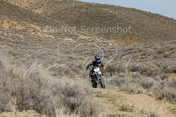 IMG_7246-5a