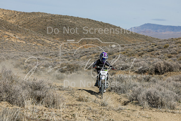 IMG_7248-5a