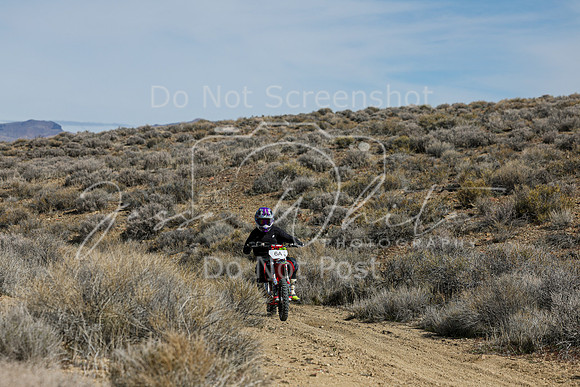 IMG_7214-6a