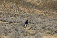 IMG_7233-11a