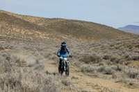 IMG_7238-11a