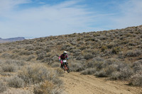 IMG_7228-8a