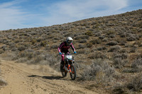 IMG_7230-8a