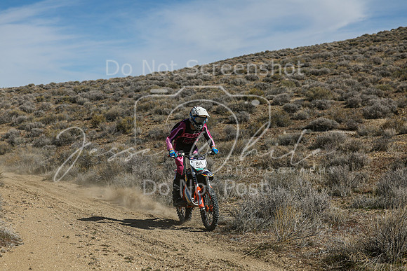 IMG_7230-8a