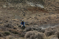 IMG_8520-32d