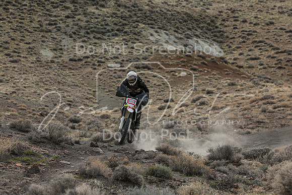 IMG_8532-82d