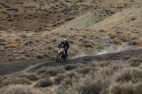 IMG_8528-82d