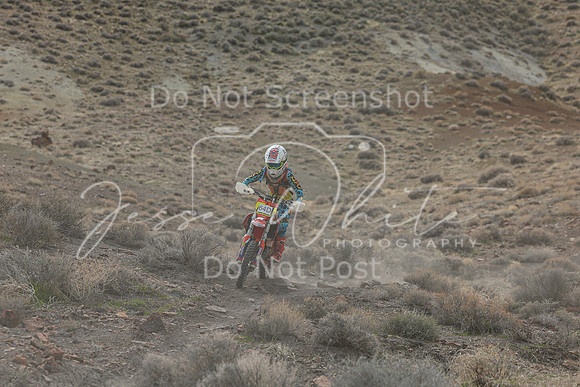 IMG_8542-64d