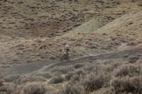 IMG_8538-64d