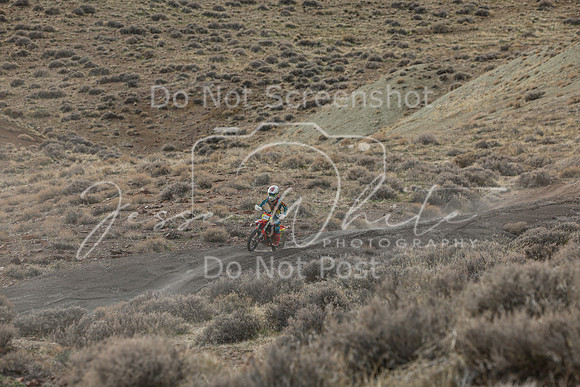 IMG_8538-64d