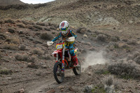 IMG_8545-64d