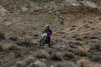 IMG_8550-7b