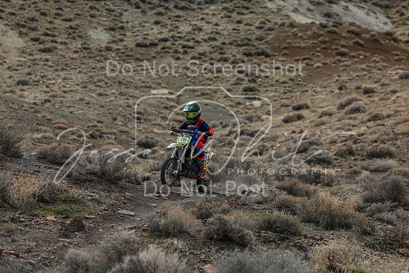 IMG_8550-7b