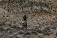 IMG_8558-8d